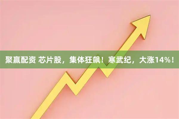 聚赢配资 芯片股，集体狂飙！寒武纪，大涨14%！