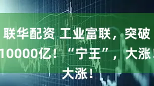 联华配资 工业富联，突破10000亿！“宁王”，大涨！